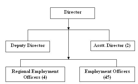 Org. Structure